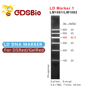 الکتروفورز نشانگر DNA نشانگر ظاهر آبی LD 1