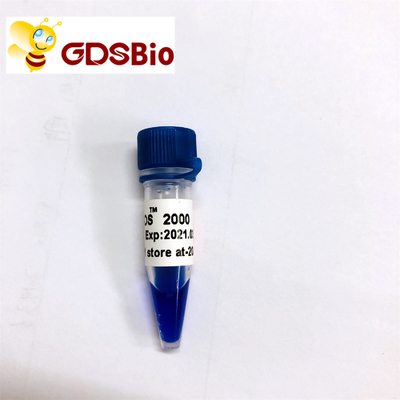Reagents High Purity LD DS 2000 DNA Marker Gel Electrophoresis 60 Preps