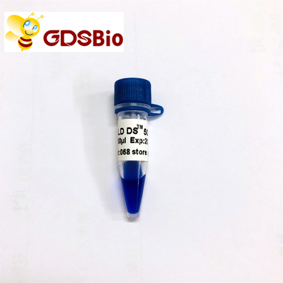 GDSBio LD DS 5000 DNA نشانگر الکتروفورزیس ظاهر آبی