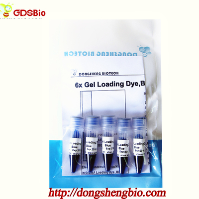 M9051 1mlx5 6× Loading Buffer In Gel DNA Electrophoresis Special Reagents