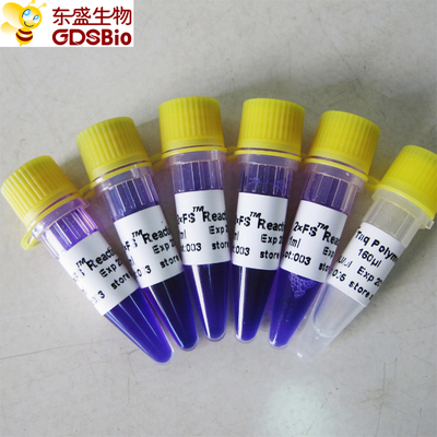 FS PCR Master Mix PCR Kit برای DNA RNA تشخیص اسید نوکلئیک P3072 1ml×5