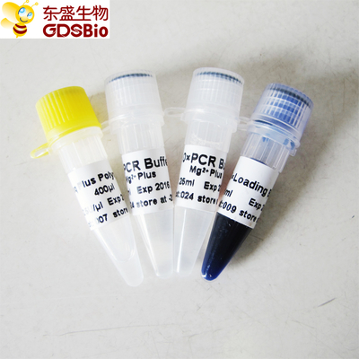 Blue Buffer Taq Plus DNA Polymerase برای PCR P1031 P1032 P1033 P1034