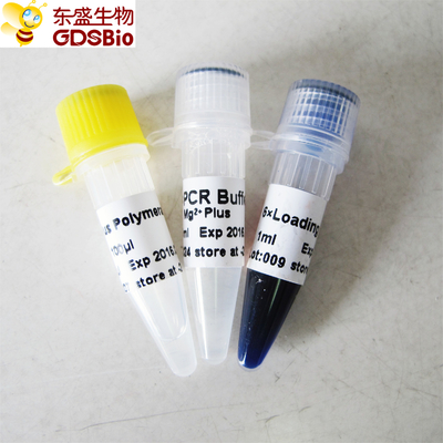 Blue Buffer Taq Plus DNA Polymerase برای PCR P1031 P1032 P1033 P1034