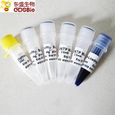Pfu DNA پلیمراز برای PCR P1021 P1022 P1023 P1024