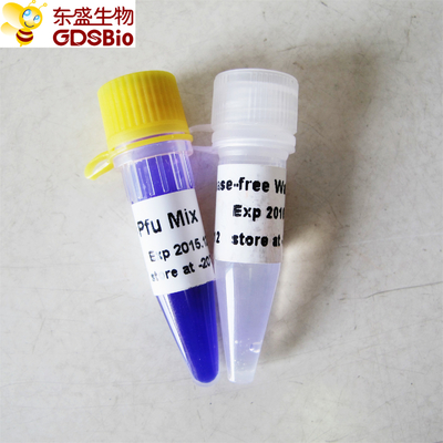DNA RNA اسید نوکلئیک PCR تشخیص Pfu PCR Master Mix P2021 1ml
