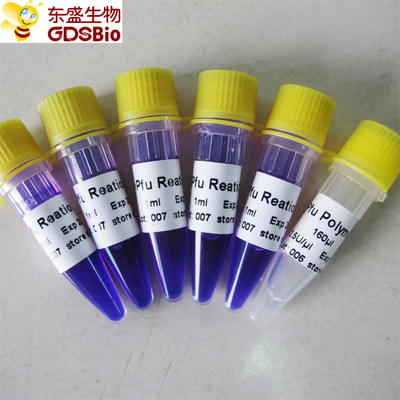 نوکلئیک اسید PCR تشخیص Pfu Master Mix P3022 1ml×5