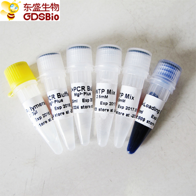 GDSBio Taq DNA Polymerase P1014 1000U با کیفیت بالا