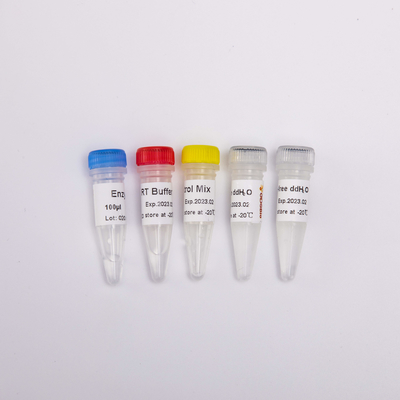 RT PCR Mix برای QPCR Reverse Transcriptase PCR Reagents R1031