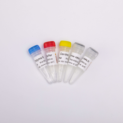 RT PCR Mix برای QPCR Reverse Transcriptase PCR Reagents R1031