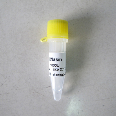 R2011 1000U RNase Inhibitor رونویسی در شرایط آزمایشگاهی