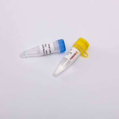 Heat Labile Anti Contamination UDG Anzyme Molecular Biology R5001