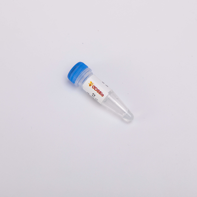 Heat Labile Anti Contamination UDG Anzyme Molecular Biology R5001