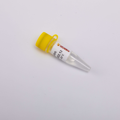 آنزیم ضد آلودگی Heat Labile UDG R5002