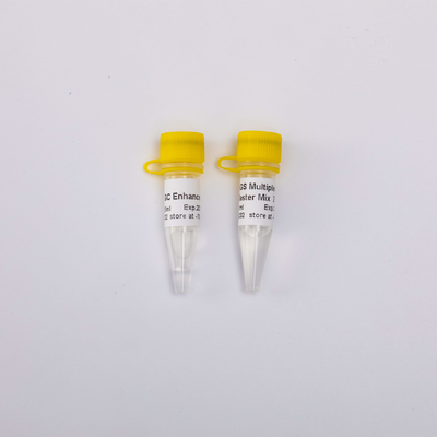 1 میلی لیتر 2X NGS Multiplex PCR Master Mix 40 Reactions GDSBio