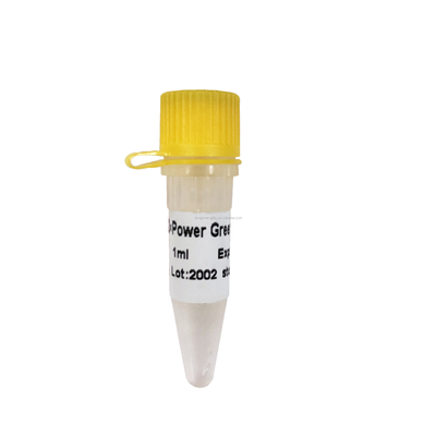 Power Green PCR Reagent Mix P2101 با راندمان تقویت بالا