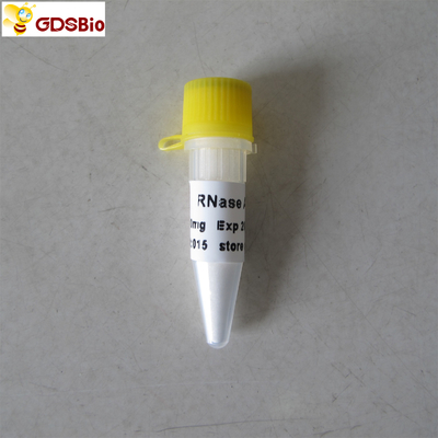 N9046 100 میلی گرم In Vitro Diagnostic Products RNase A Powder
