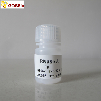 پودر سفید RNase A Powder Cat. No.N9047 1g GDSBio