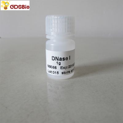 محصولات تشخیصی در شرایط آزمایشگاهی DNase I Powder N9066 1g