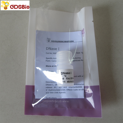 محصولات تشخیصی در شرایط آزمایشگاهی DNase I Powder N9066 1g