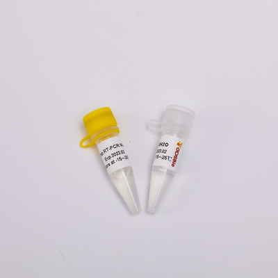 2X یک مرحله ای RT PCR Mix برای رونویسی معکوس RNA RP1001