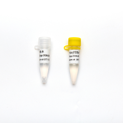 پروب مولتی پلکس مستقیم Premix Concentrated 2× QPCR PCR Reagent Mix Plus with UDG