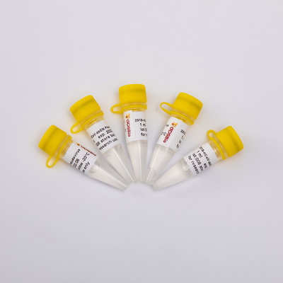کیت تصفیه اسید نوکلئیک GDSBio 2019-NCoV-AbEN Pseudovirus V1001 V1002 V1003