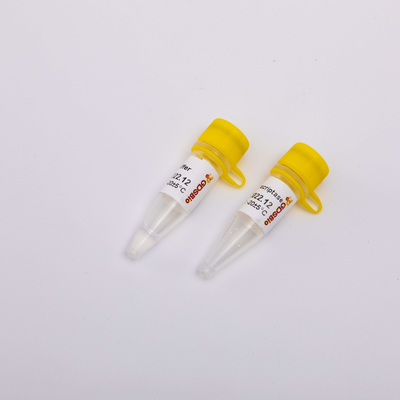 10000U طلا رونوشت معکوس PCR R3002 بی رنگ ظاهر