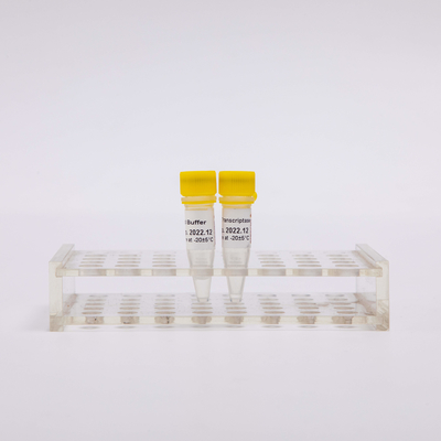 10000U طلا رونوشت معکوس PCR R3002 بی رنگ ظاهر