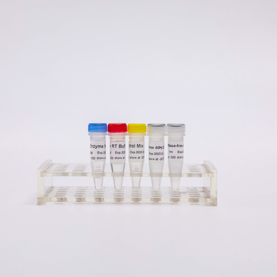 معرفهای GDSBio Reverse Transcriptase PCR