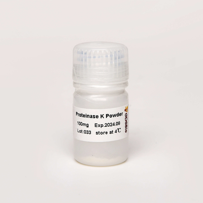 Molecular Biology Grade Proteinase K Powder N9016 100mg
