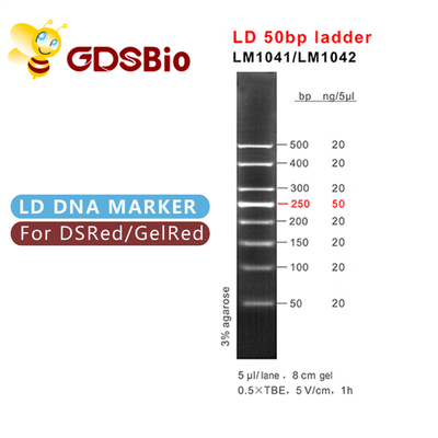 نردبان نشانگر الکتروفورز ژل DNA 50 جفت باز GDSBio