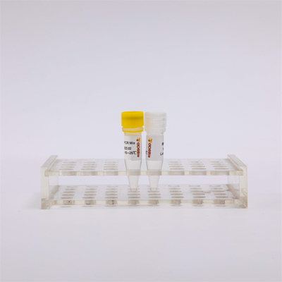 کیت PCR رونویسی معکوس و نقطه پایانی RNA یک مرحله ای RT PCR Mix RP1001