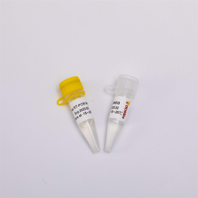 کیت PCR رونویسی معکوس و نقطه پایانی RNA یک مرحله ای RT PCR Mix RP1001