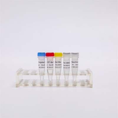 R1031 GDSBio اولین رشته CDNA سنتز مخلوط RT-PCR برای واکنشگرهای PCR ترانس کریپتاز معکوس RNA از پیش مخلوط شده QPCR