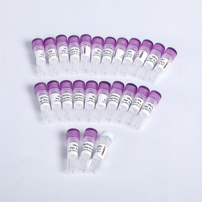 K003-C NGS Library Construction UDI UMI Adapters Primers For Illumina K003