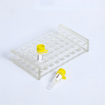 آلودگی - Proof 2X Multiplex PCR Master Mix with UDG PM2001 PM2002 PM2003