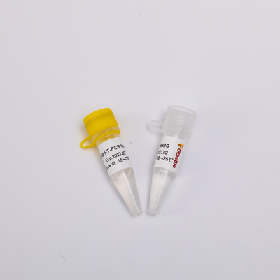 GDSBio RNA رونویسی معکوس و کیت PCR نقطه پایانی One Step RT Mix RP1001