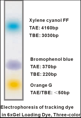 6× ژل بارگذاری رنگ سه رنگ DNA الکتروفورز بافر EDTA 1mlx5