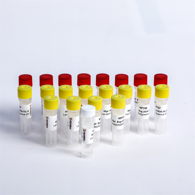 آداپتور جهانی PCR Primers Multiplex Oligos 1 For Illumina K002-A