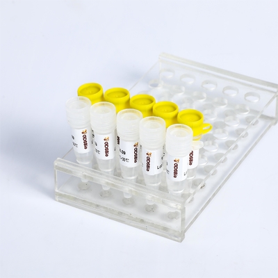تشخیص KASP PCR Master Mix P4021 P4022 SNP InDels