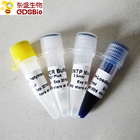 Blue Buffer Taq Plus DNA Polymerase For PCR P1031 P1032 P1033 P1034